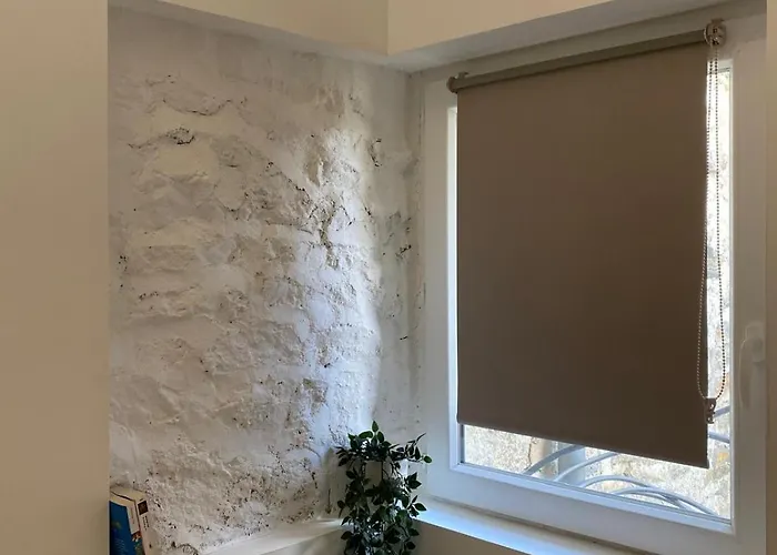 Petite Maison De Bourg Apartament Le Bourgneuf-la-Foret